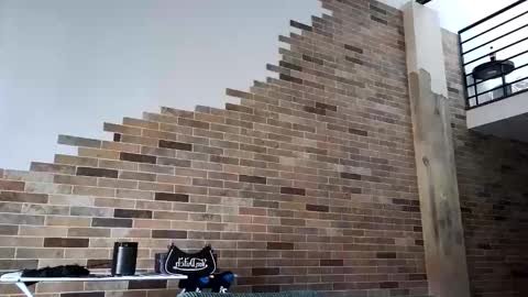 NIVIA WOLFE online show from 03/17/26, 12:15