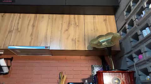 Snapshot of nloraaa chatting on 02/09/26, 02:37 Tears Lora online show from 02/09/26, 02:37