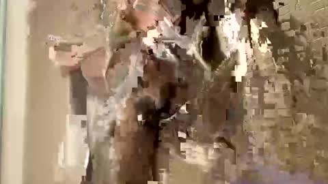 Snapshot of nnm110 chatting on 02/09/25, 09:37 nnm110 online show from 02/09/25, 09:37