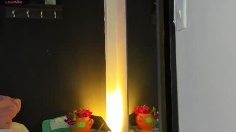 Noah  online show from 01/14/26, 03:23