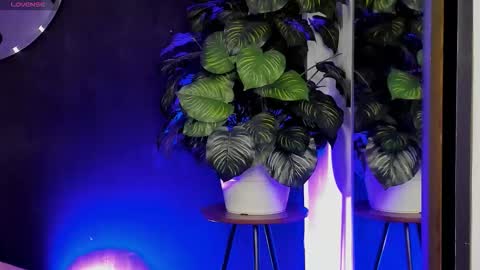 Noah  online show from 03/22/26, 03:21