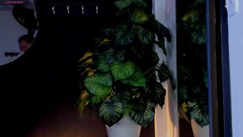 Noah  online show from 03/25/26, 03:23