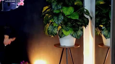 Noah  online show from 04/10/26, 03:23