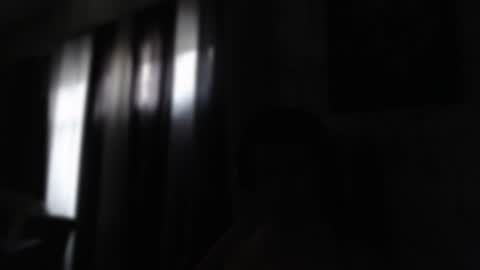 Sebastian online show from 01/23/25, 12:30