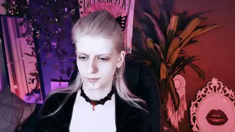 Snapshot of noah_elmer chatting on 07/01/26, 04:29 REAL name LiaDM are always open online show from 07/01/26, 04:29