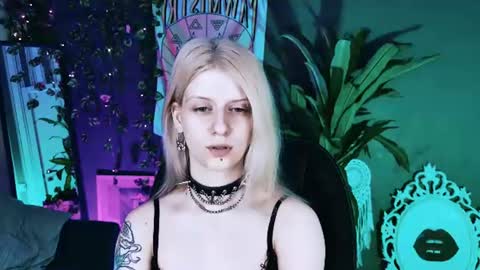 Snapshot of noah_elmer chatting on 07/11/26, 01:25 REAL name LiaDM are always open online show from 07/11/26, 01:25