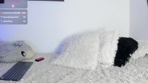 Snapshot of noah_lambert chatting on 01/20/25, 03:26 Noah online show from 01/20/25, 03:26