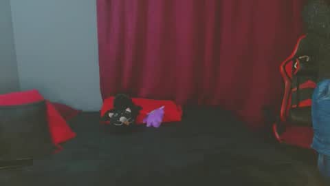 Snapshot of noamartin_ chatting on 02/27/25, 01:59 Noamartin online show from 02/27/25, 01:59