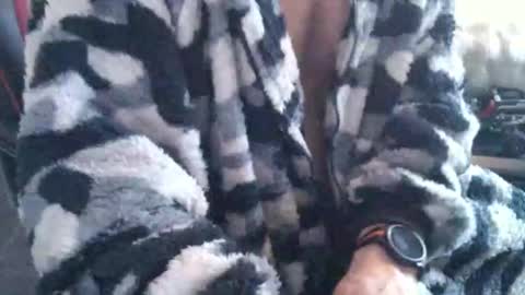 Boingyyyy online show from 12/14/25, 02:44