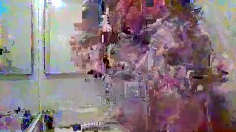 Snapshot of noboundariesinprivate chatting on 03/18/26, 04:37 noboundariesinprivate online show from 03/18/26, 04:37