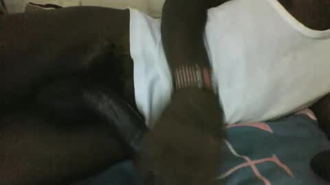 Snapshot of noella1234 chatting on 03/29/26, 11:16 noella1234 online show from 03/29/26, 11:16