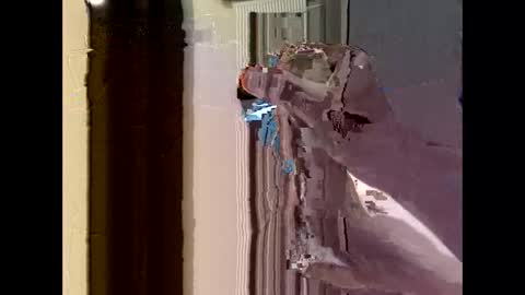 nolplus online show from 09/22/25, 04:36