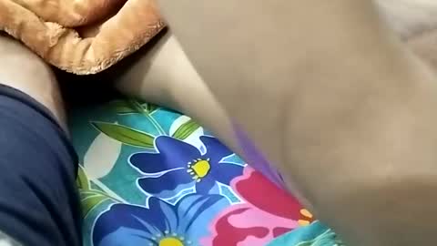 sim  nib online show from 01/09/25, 08:44