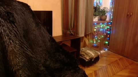 Snapshot of norma_gin chatting on 12/28/24, 09:19 miss Tress online show from 12/28/24, 09:19