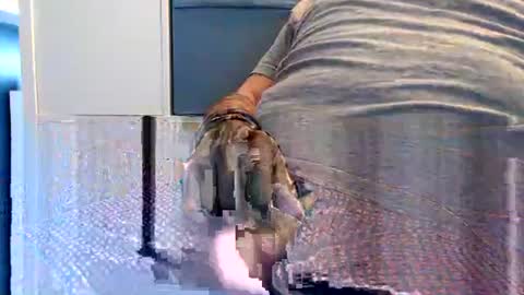 northerndaddy online show from 09/23/25, 09:45