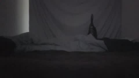 norty450 online show from 02/10/26, 03:21