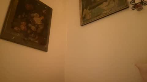 Snapshot of noscandal chatting on 12/13/24, 03:16 noscandal online show from 12/13/24, 03:16