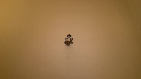 Snapshot of noscandal chatting on 02/21/25, 12:16 noscandal online show from 02/21/25, 12:16