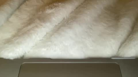 Snapshot of noscandal chatting on 12/21/25, 05:03 noscandal online show from 12/21/25, 05:03