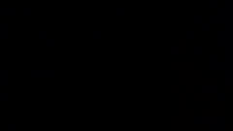 not face online show from 12/02/25, 03:23