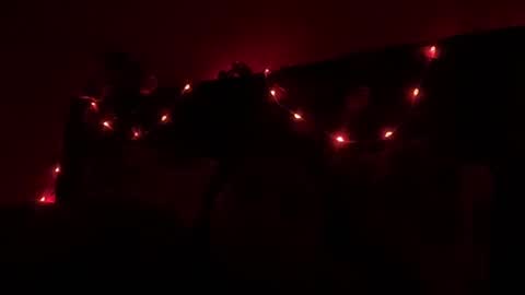 NOVA online show from 10/19/25, 02:45