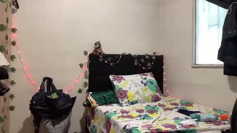 NOVA online show from 10/19/25, 03:34