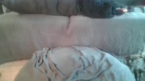 Snapshot of nova_kanee chatting on 04/19/26, 06:10 Nova online show from 04/19/26, 06:10