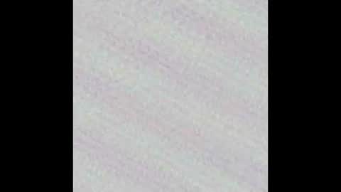 Snapshot of novinholl22 chatting on 03/09/26, 02:26 Novinhoo online show from 03/09/26, 02:26