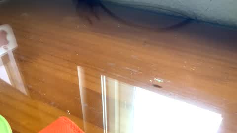 Snapshot of nudistadepilado chatting on 09/13/25, 10:04 nudistadepilado online show from 09/13/25, 10:04