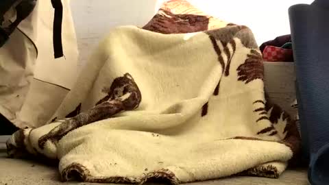 nuevotiempo online show from 02/23/26, 12:57