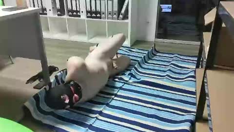 Slave for Mistress and Master online show from 02/18/25, 11:33