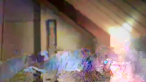 nurod online show from 12/29/24, 04:40