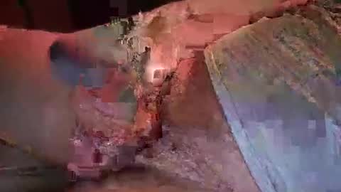 nurod online show from 01/03/25, 05:17