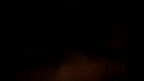 nxleon online show from 12/09/24, 11:36