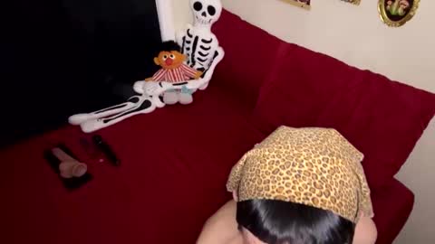 Nymphaea online show from 02/17/26, 11:33