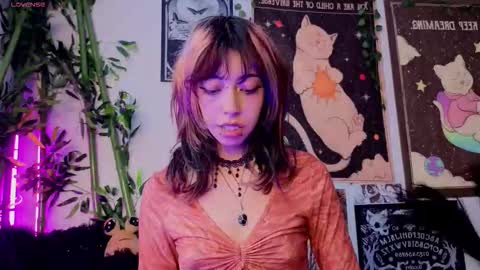   online show from 03/25/26, 07:42