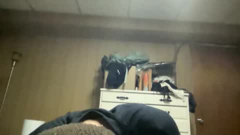 Snapshot of nyyanks232 chatting on 03/22/26, 05:55 harvestmoon online show from 03/22/26, 05:55