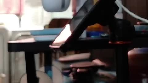Snapshot of obsidian_stallion chatting on 07/19/26, 10:35 Obsidian stallion online show from 07/19/26, 10:35