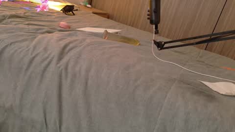 Your Ocean baby 3 online show from 02/11/25, 01:09