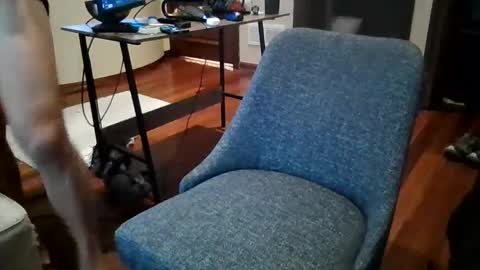 Snapshot of octobersky1993 chatting on 12/20/24, 02:49 Sky online show from 12/20/24, 02:49