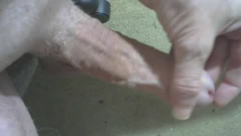 odentonman4fun online show from 06/20/26, 04:04