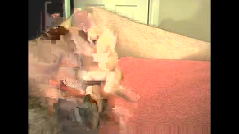 Snapshot of odinsslave chatting on 02/28/26, 03:46 odinswarrior online show from 02/28/26, 03:46