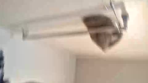 Snapshot of odz9ind chatting on 02/05/26, 07:29 odz9ind online show from 02/05/26, 07:29