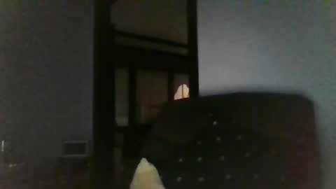 Officer online show from 12/26/24, 07:45