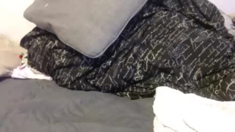 OGDigBick online show from 01/06/26, 02:21