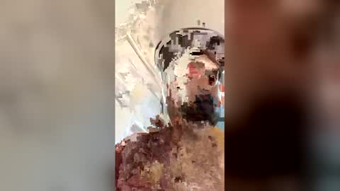 Snapshot of ogkftp chatting on 04/20/26, 01:58 ogkftp online show from 04/20/26, 01:58