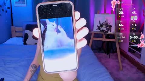 Light  online show from 12/22/24, 07:54