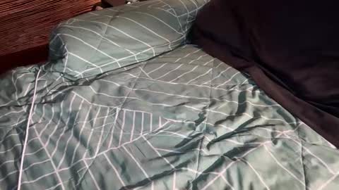 ohyea online show from 03/06/26, 02:41