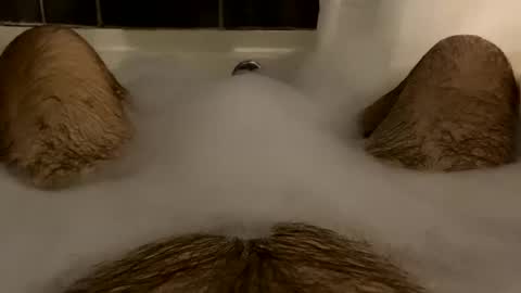 oldbones2 online show from 02/16/25, 02:20