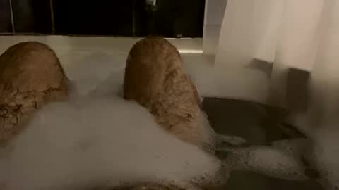 oldbones2 online show from 02/24/25, 02:51